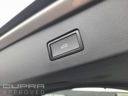 2026 Cupra Tavascan - photo 20