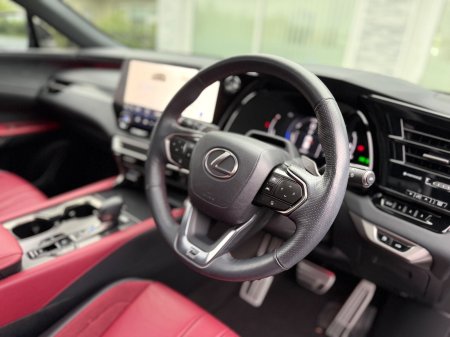 2024 Lexus RX - photo 20