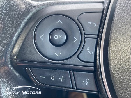 2022 Toyota RAV4 - photo 18