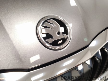 2023 Skoda Octavia - photo 17