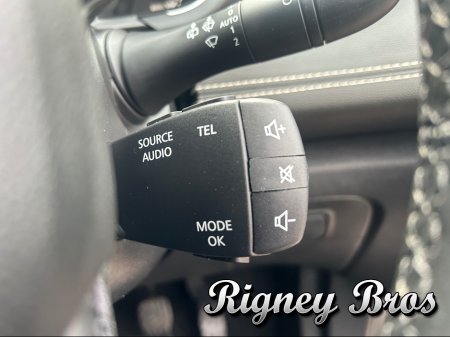 2021 Renault Grand Scenic - photo 19