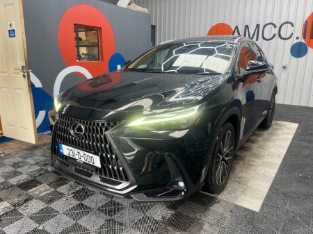 2023 Lexus NX - photo 6