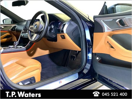 2020 BMW 8-Series - photo 8