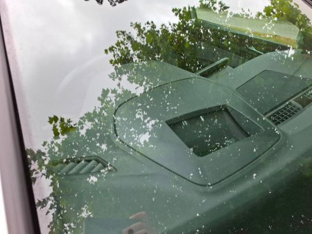 2023 Volkswagen Golf - photo 25