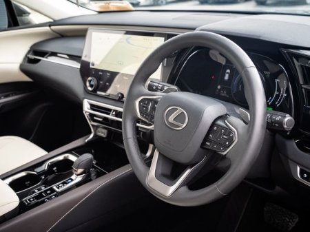 2024 Lexus RX - photo 7