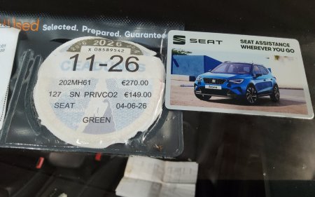 2020 SEAT Tarraco - photo 15