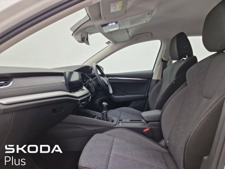 2023 Skoda Octavia - photo 4