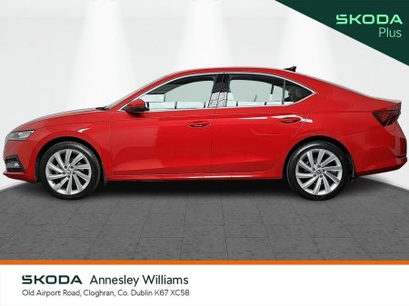 2023 Skoda Octavia - photo 6