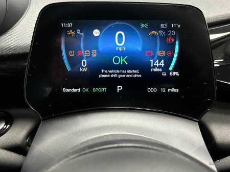 2025 BYD DOLPHIN - photo 10