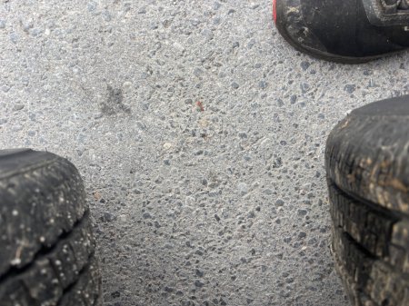 0   - photo 7