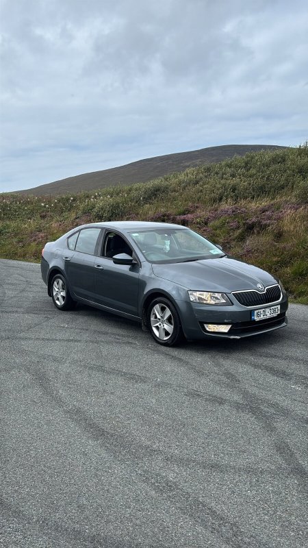 2016 Skoda Octavia - photo 5