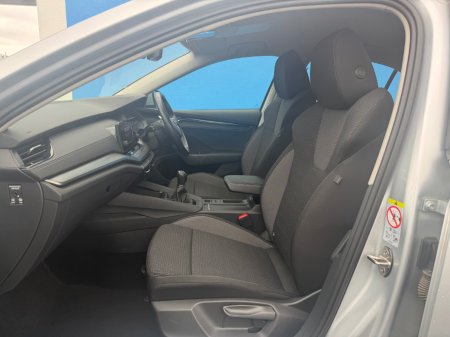 2023 Skoda Octavia - photo 6
