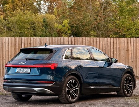 2020 Audi e-tron - photo 19
