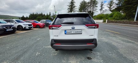 2019 Toyota RAV4 - photo 5
