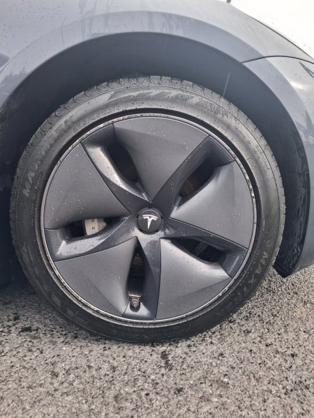 2020 Tesla Model 3 - photo 17