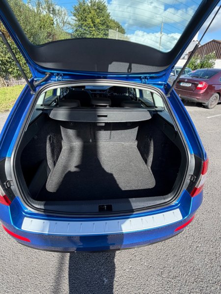2016 Skoda Octavia - photo 10