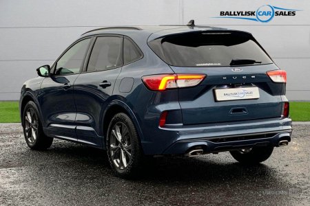 2021 Ford Kuga - photo 2