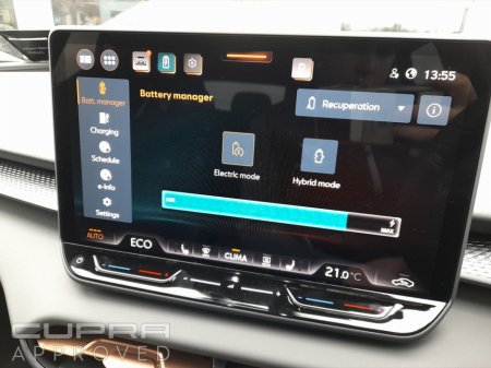 2026 Cupra Terramar - photo 19