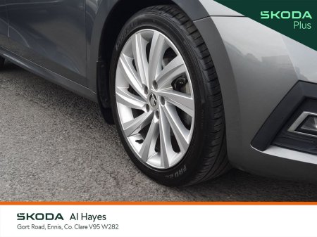 2023 Skoda Octavia - photo 6