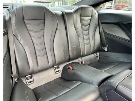 2019 BMW 8-Series - photo 21
