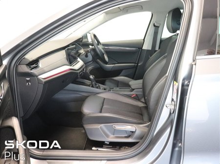 2023 Skoda Octavia - photo 4