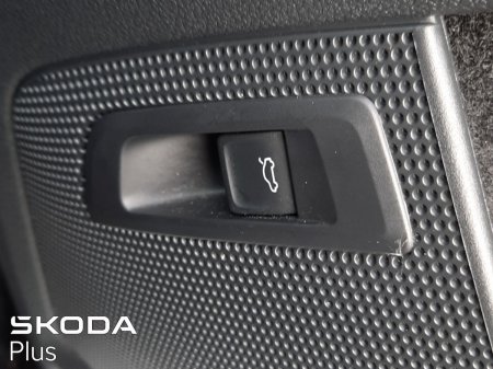 2024 Skoda Kodiaq - photo 3