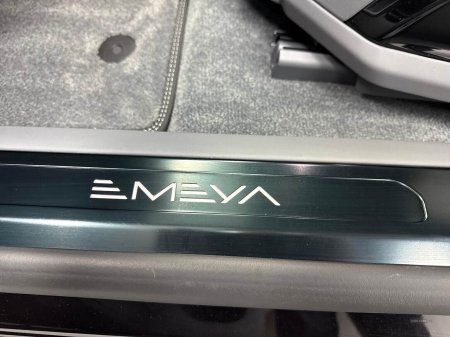 2025 Lotus Other - photo 42