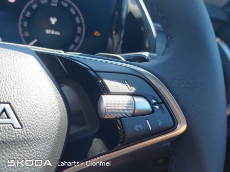 2026 Skoda Kodiaq - photo 31