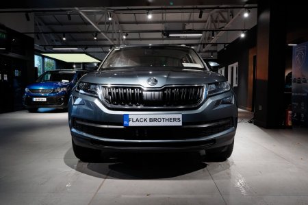 2019 Skoda Kodiaq - photo 2