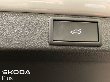 2025 Skoda Octavia - photo 25