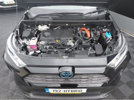 2019 Toyota RAV4 - photo 5