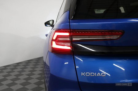 2024 Skoda Kodiaq - photo 10