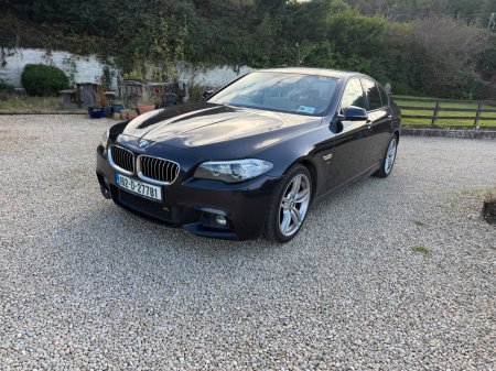 2016 BMW 5-Series - photo 10
