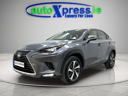 2020 Lexus NX - photo 5