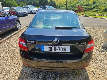 2019 Skoda Octavia - photo 5