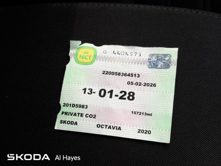 2020 Skoda Octavia - photo 31