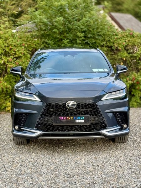 2025 Lexus RX - photo 6