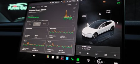 2024 Tesla Model 3 - photo 33