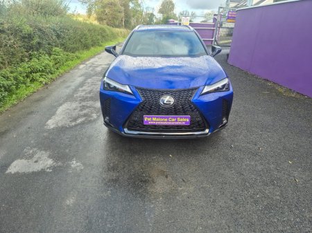 2023 Lexus UX - photo 2