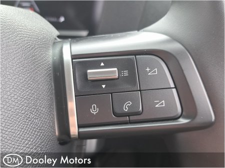 2024 Citroen e-C4 X - photo 22