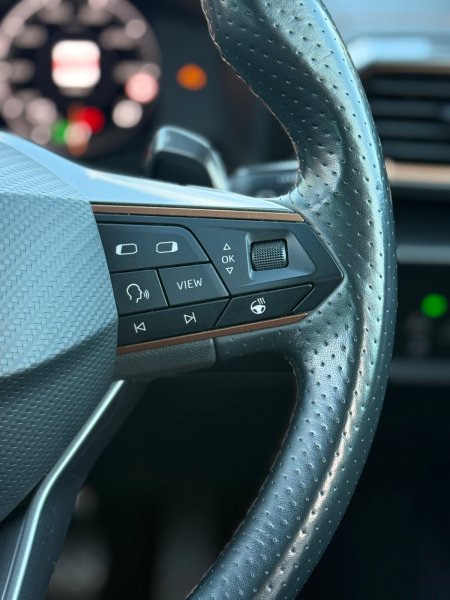 2021 Cupra Formentor - photo 16