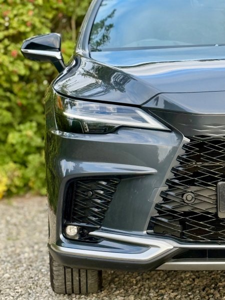 2025 Lexus RX - photo 5