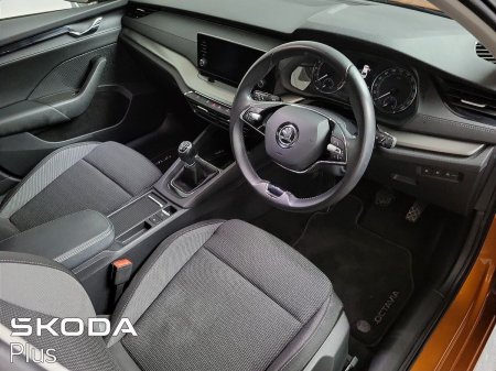 2023 Skoda Octavia - photo 8