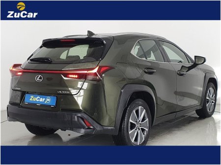 2024 Lexus UX - photo 7