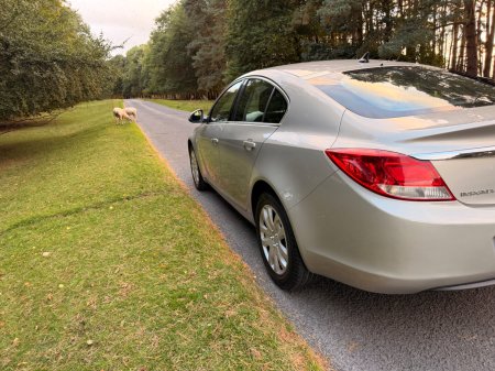 2011 Opel Insignia - photo 35