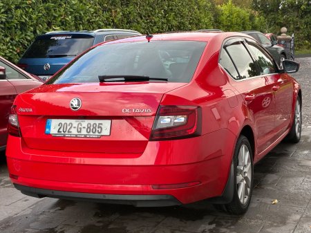 2020 Skoda Octavia - photo 6