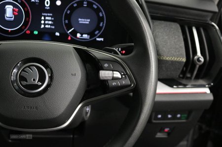 2024 Skoda Kodiaq - photo 19
