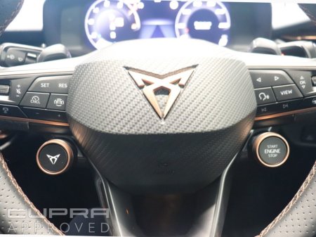 2026 Cupra Terramar - photo 22