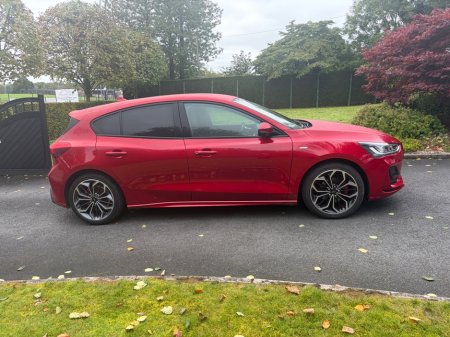 2023 Ford Focus - photo 6