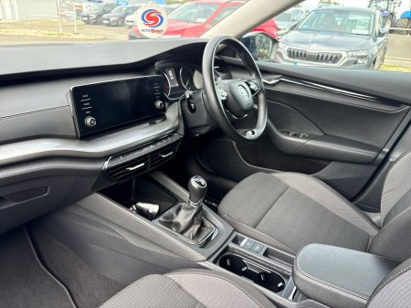 2021 Skoda Octavia - photo 2
